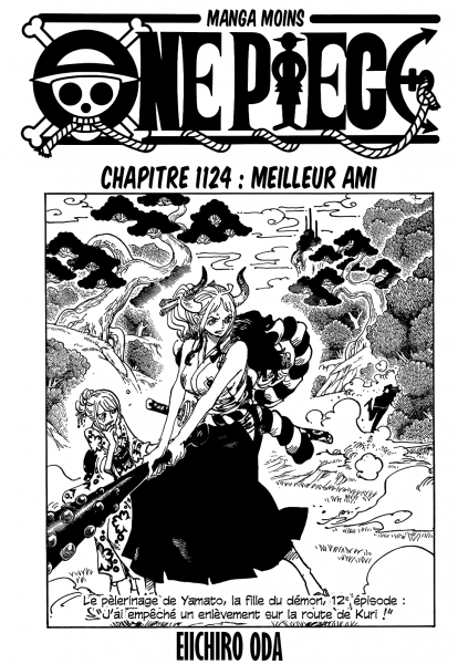 Cover One Piece