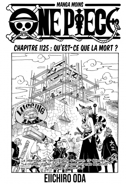 Cover One Piece