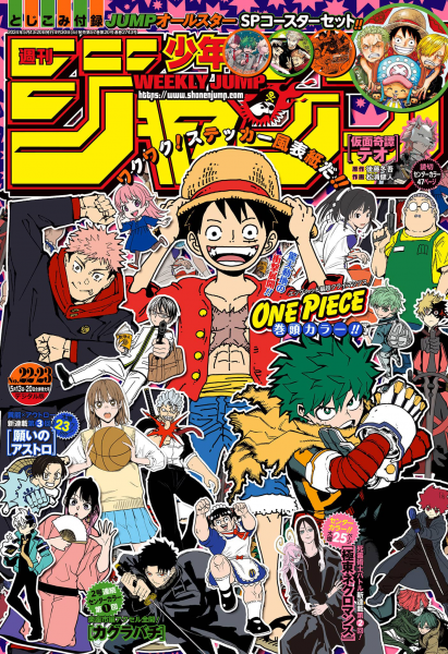 Cover One Piece Colo
